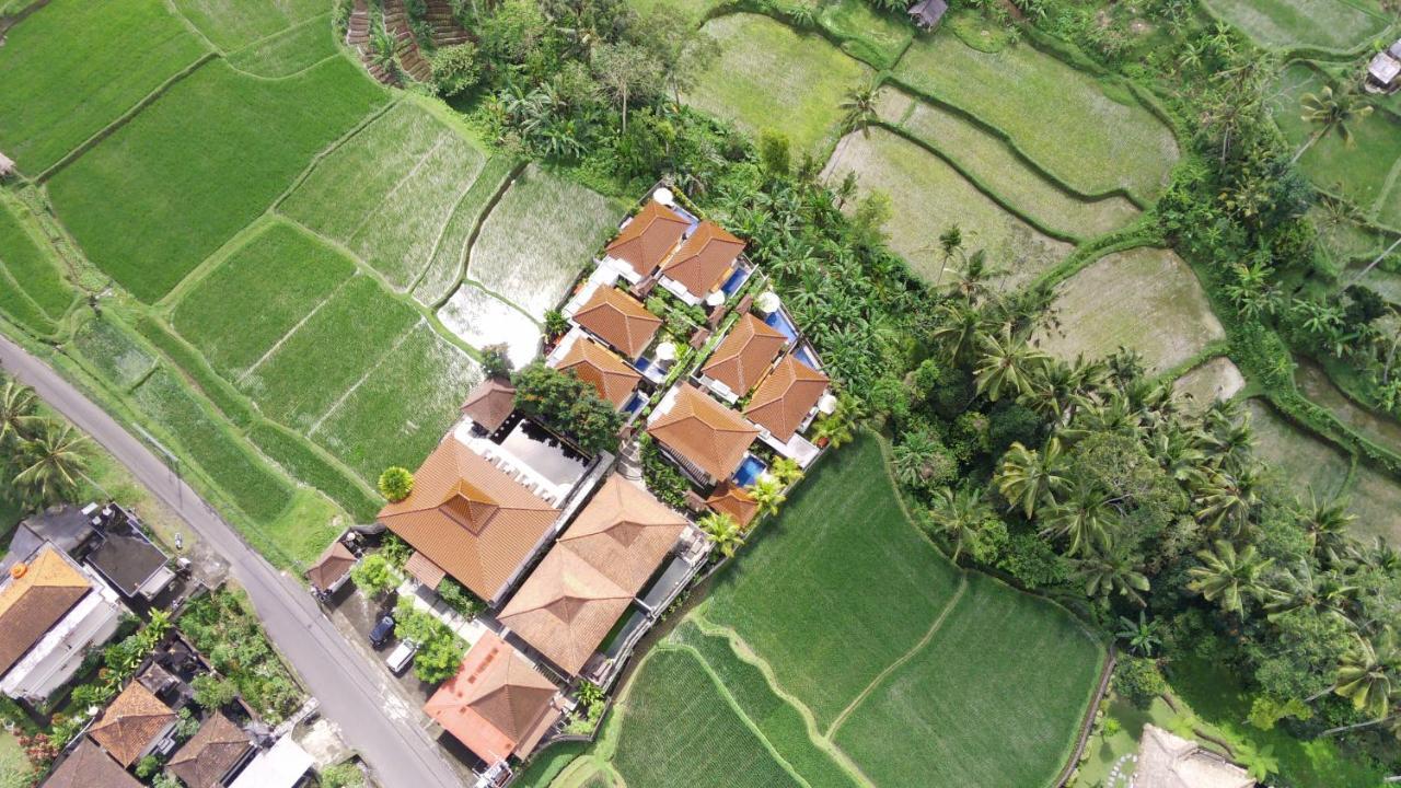 Danakha Villa Ubud Tegallalang  Exteriér fotografie