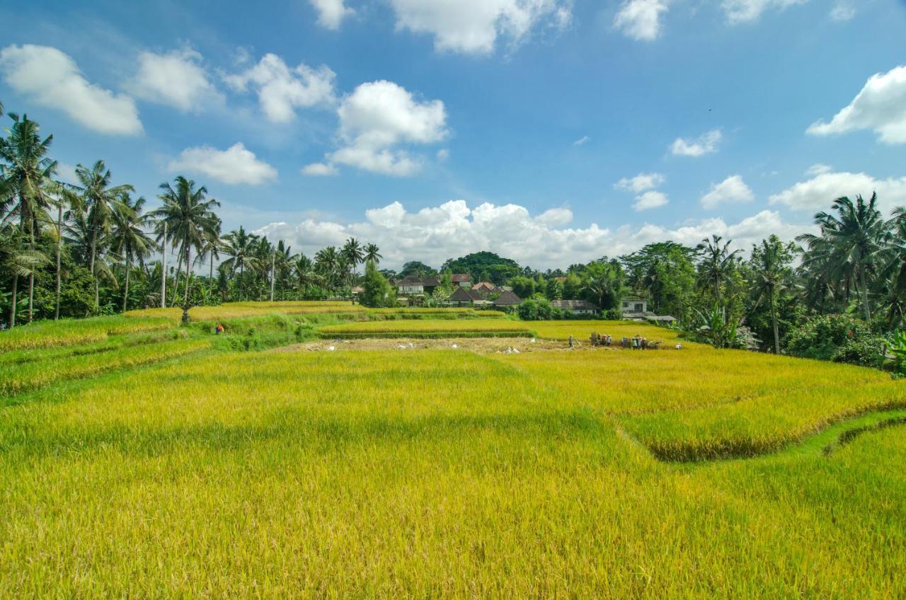 Danakha Villa Ubud Tegallalang  Exteriér fotografie